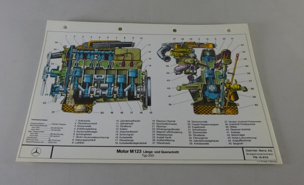 Schnittbild / Schnittzeichnung Mercedes-Benz Motor M 123 in W123 250 von 01/1977